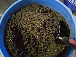 Rich Black Soil