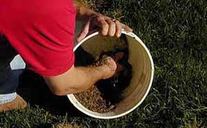 Mixing soil
